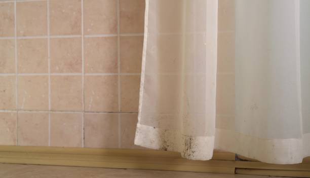 Best Indoor Air Quality Assessment  in Burwell, NE