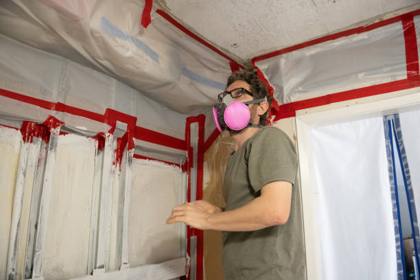 Best Industrial Mold Remediation  in Burwell, NE