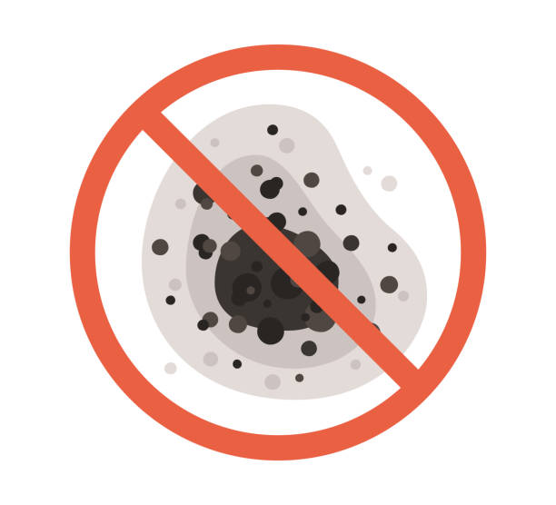 Best Mold Remediation for Healthcare Facilities  in Burwell, NE