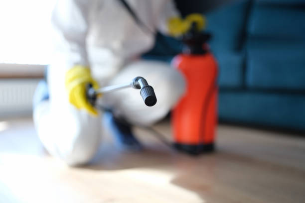 Best Mold Odor Removal Services  in Burwell, NE