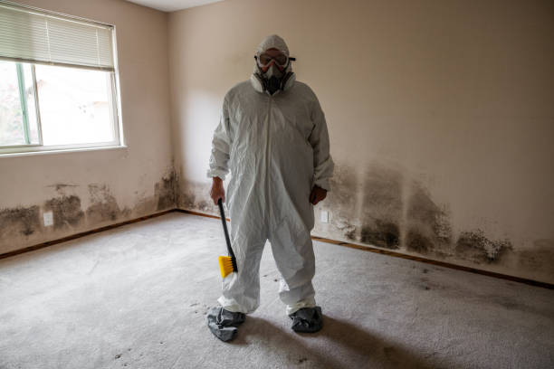 Best Biohazard Mold Removal  in Burwell, NE